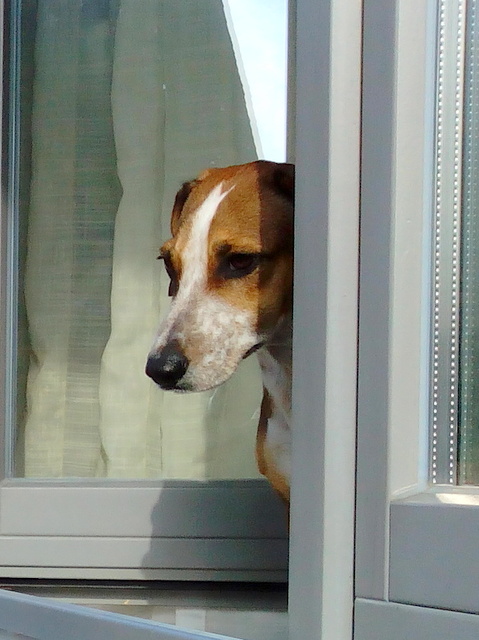 1 IMG 20151026 102430