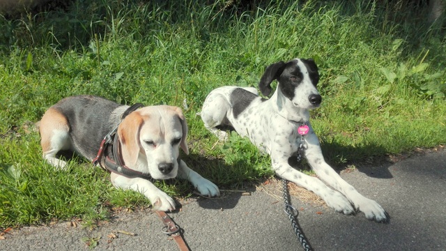 1 Handyfotos Yvi 141 001