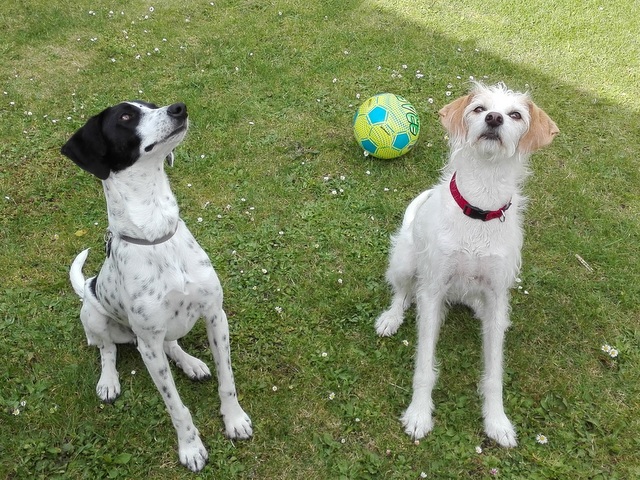 1 Handyfotos Yvi 220