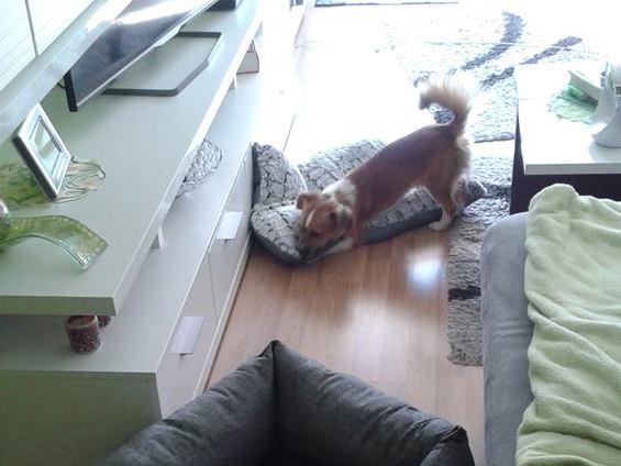 1 11219640 1143605402336089 5346231228634109666 n