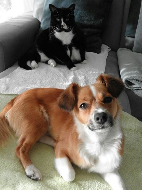 1 IMG 20151113 WA0002