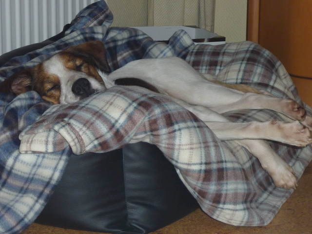 1 Bruno ist fertig 2