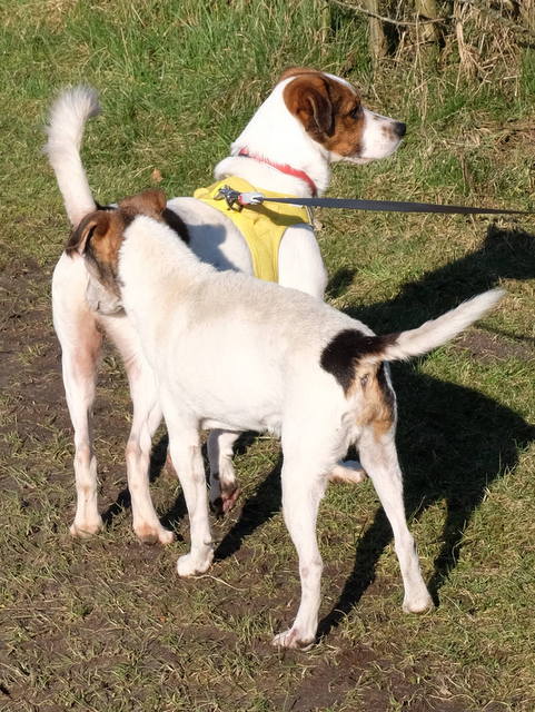 1 Stocksee Bruno mit Grandpa