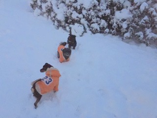 1 cid 017264AD 43A4 47E6 9636 97DFD09CCA89flexwork