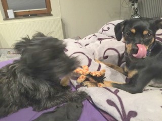 1 cid 79302C63 DBBC 47ED B7A9 5D6E74642893flexwork