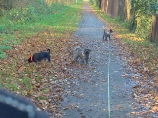 1 cid A24F0B51 7380 4928 8C21 4CEA22FEA460flexwork