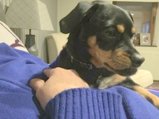 1 cid A33109E9 1EE0 4A68 8BBC 1304741ADCC1flexwork