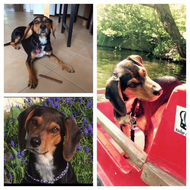 1 cid 260630E7 D57E 4B70 9C4A 31E75B7ACAEF