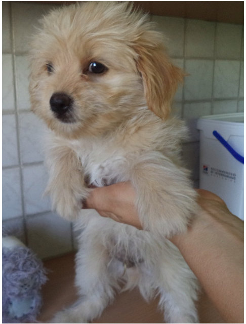 1 cid 0E130DB9 E64A 4578 B1D1 701D6E1C0A88Speedport W 724V 09011603 00 023