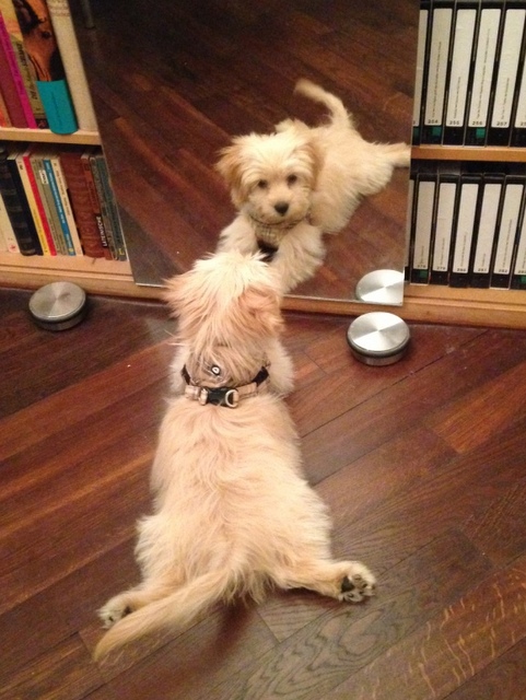 1 cid 58A1D8CB 8877 4215 84A5 50DF889CCDAESpeedport W 724V 09011603 00 023