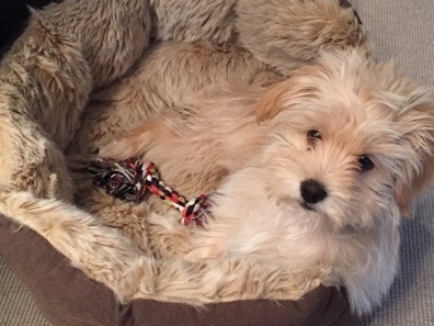 1 cid 924A87BD 335F 4E5B B5BC A3E47270CFEESpeedport W 724V 09011603 00 023