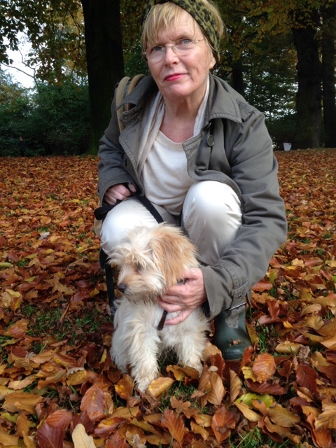 1 cid 9571FA4E D773 4807 B2F1 B17F2D175597Speedport W 724V 09011603 00 023