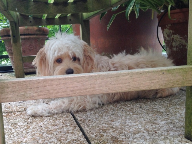 1 cid F6B35986 0E86 4D80 8827 8B9C6A130C8DSpeedport W 724V 09011603 00 023