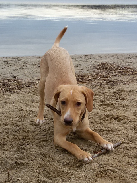 1 20160207 104530 001