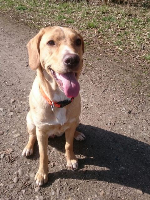 1 IMG 20160326 WA0010