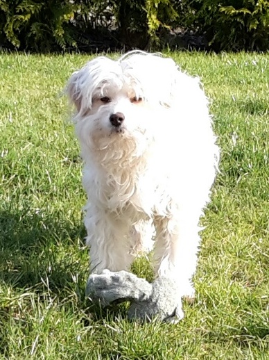 1 20160228 145128 resized 001