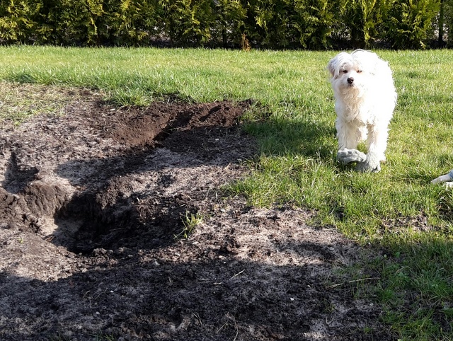 1 20160228 145128 resized