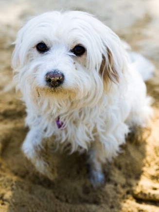 1 49 1515 0483989 20151207 205556 resized 2