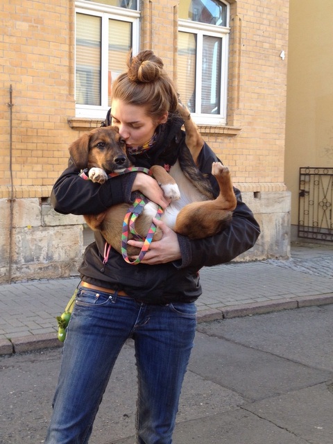 1 IMG 20151226 WA0004