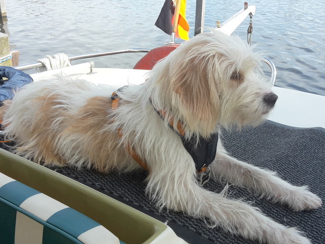 1 20150913 114416 001