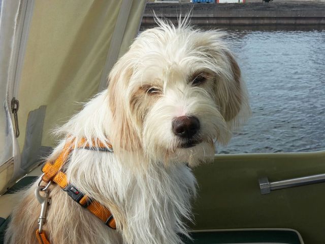 1 IMG 20160120 WA0004