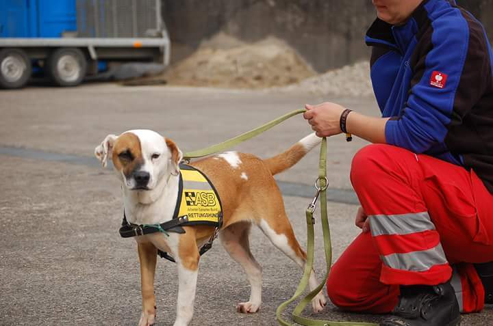 1 FB IMG 1444313316269