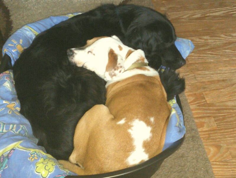 1 IMG 20151111 WA0004