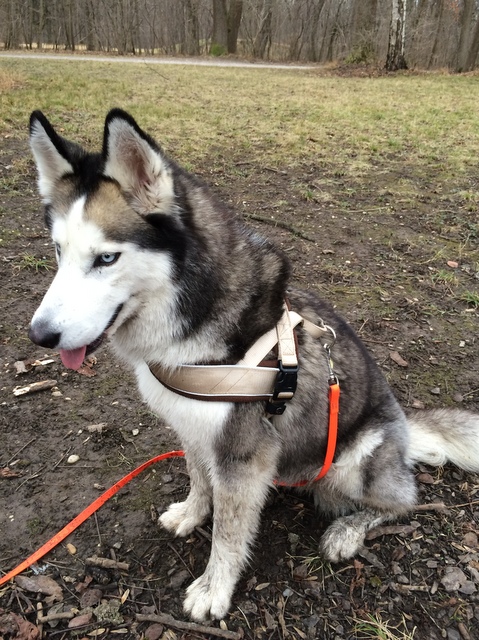 1 cid 3B95BCC2 44CF 4E98 9C42 97780E64C1E2fritz