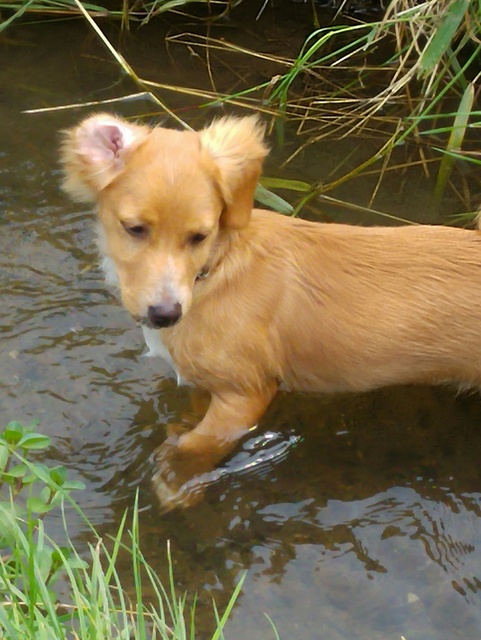 1 20160708 121326 resized