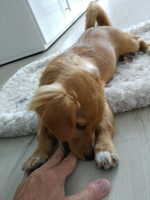 1 20160723 110538 resized