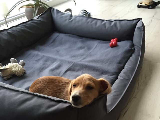 1 IMG 20160723 WA0000