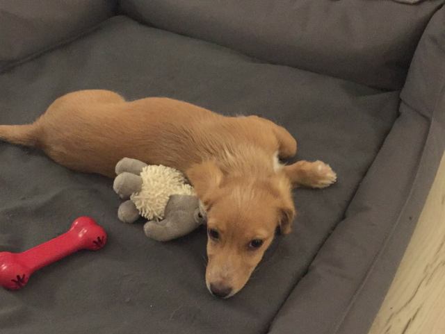 1 IMG 20160723 WA0001