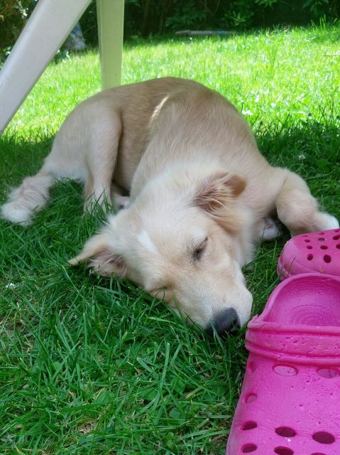 1 Handy 16.07.16 121