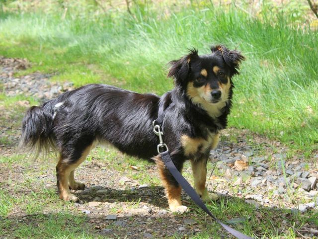 1 IMG 20150514 WA0006 1