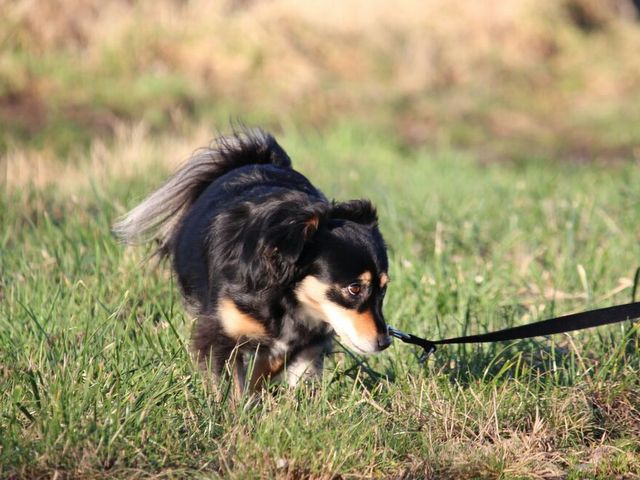 1 IMG 20151220 WA0004