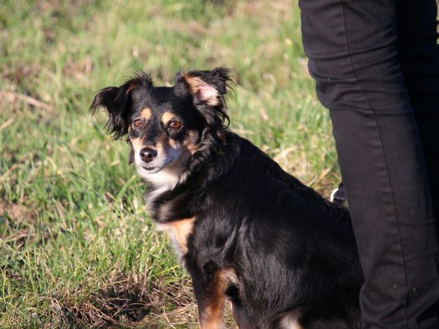 1 IMG 20151220 WA0007