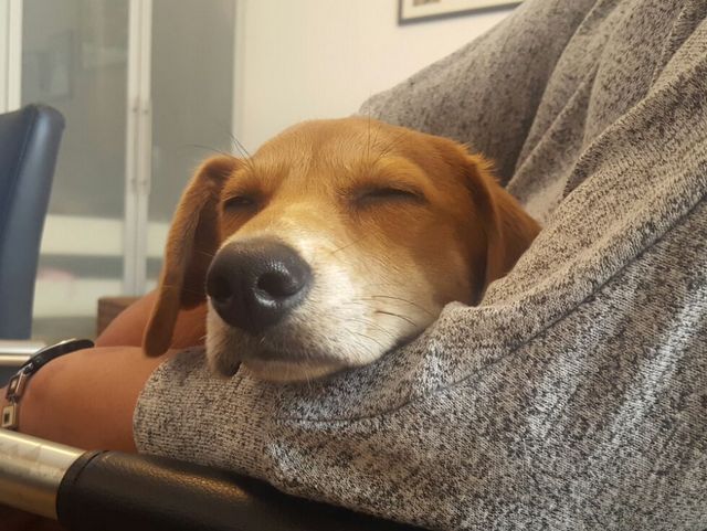 1 IMG 20160417 WA0007