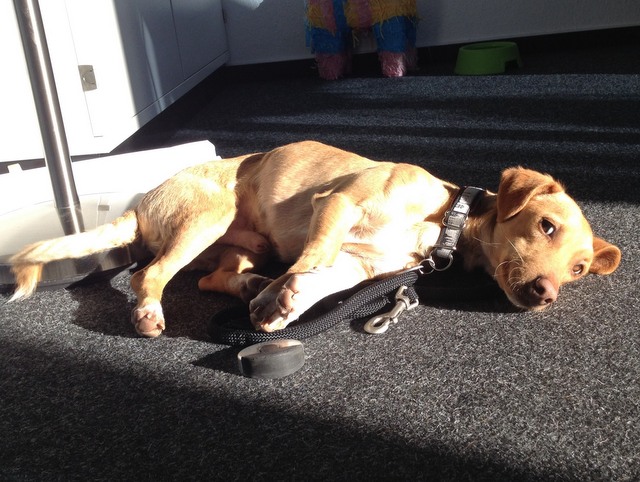 1 cid 1513656f3a0dbcac21e2