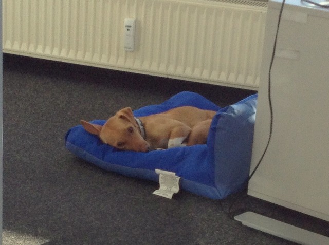 1 cid 1513657ff925e42e9203