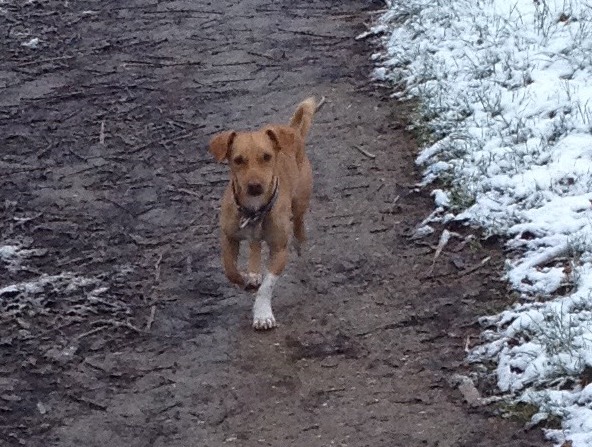 1 cid 15136585c79eb5cac1d4