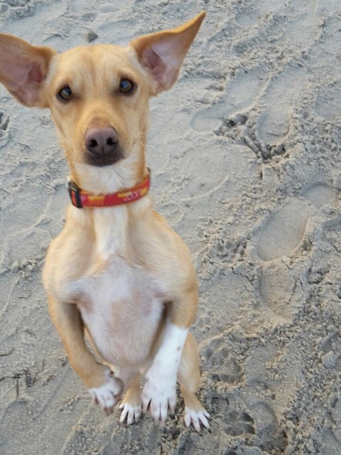 1 cid 1513659edeaf02ce8205 001