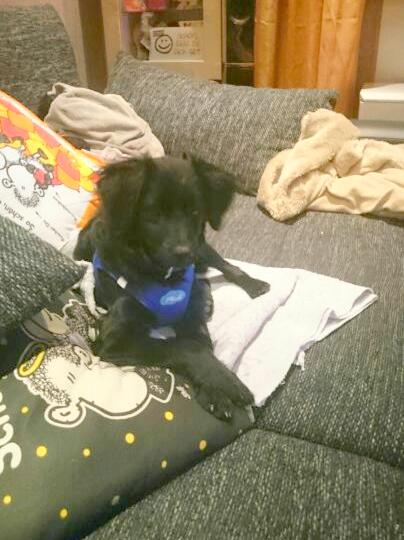 1 IMG 20160123 WA0002