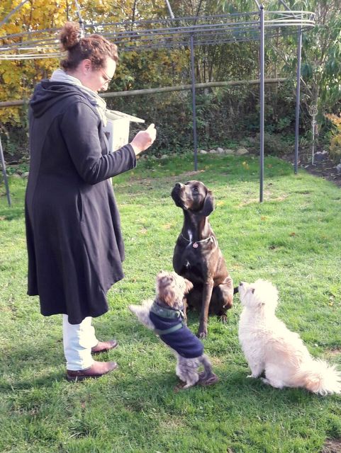 1 IMG 20161030 WA0006