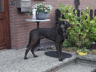 1 IMG 20170619 WA0008