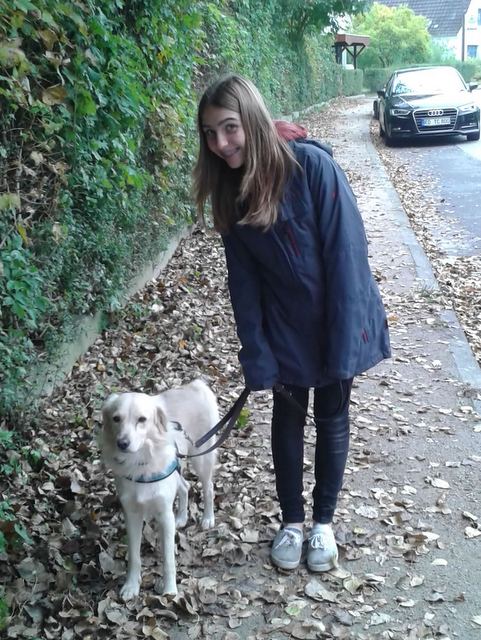 1 IMG 20161016 WA0001