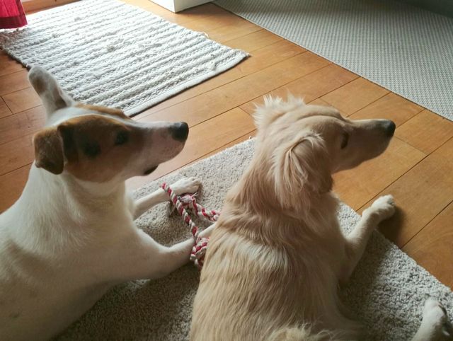 1 IMG 20170323 WA0009