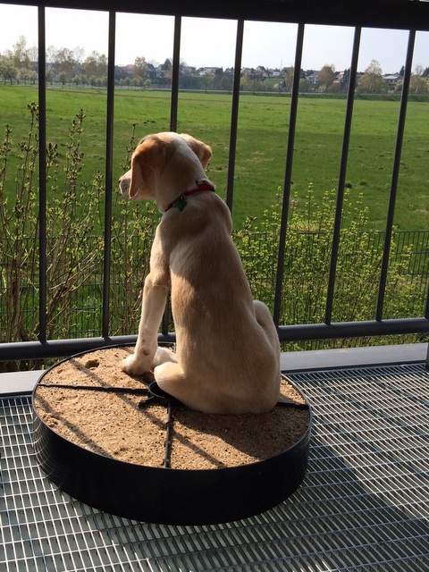 1 cid 7245B3CC FE62 469C 9E62 1C4101937D6A