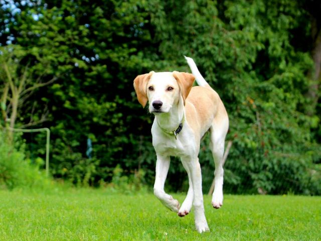 1 cid EE23D7C1 9372 4FCB 9912 88373CBF1CD9