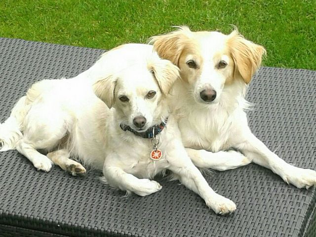 1 67.Geburtstag bei Susi in der Schweiz 134