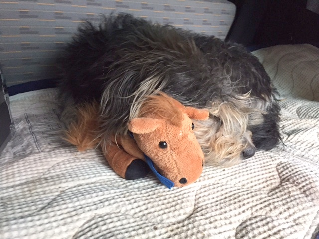 1 cid 6D2CE2D2 8F42 4BE5 8D99 D7740ADBC5DD